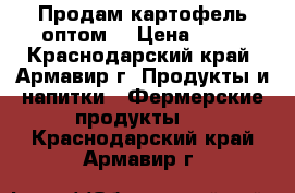 Продам картофель оптом. › Цена ­ 15 - Краснодарский край, Армавир г. Продукты и напитки » Фермерские продукты   . Краснодарский край,Армавир г.